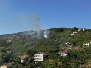 Beykoz’da ormanlık alanda çıkan yangın söndürüldü