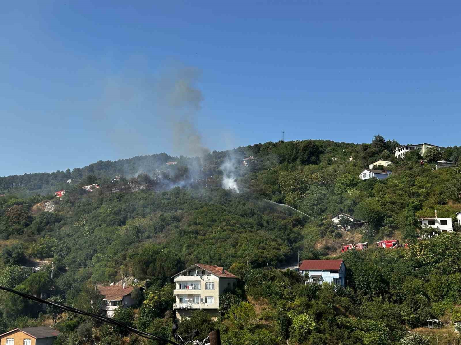 Beykoz’da ormanlık alanda çıkan yangın söndürüldü