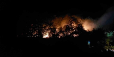 Sakarya’daki yangınla ilgili 1 kişi tutuklandı