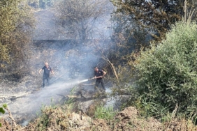 Taşınburnu mevkiindeki orman yangında soğutma çalışmaları sona erdi