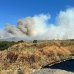 Bilecik’teki orman yangınına müdahale devam ediyor