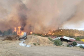 Bilecik’teki orman yangınında alevler Kazancı köyüne ulaştı