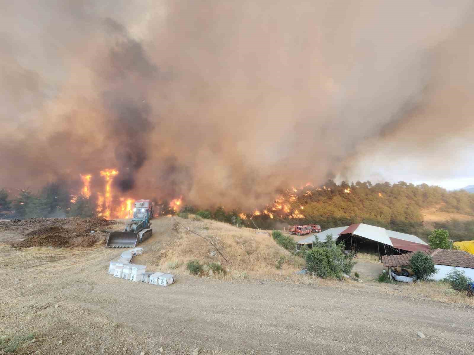Bilecik’teki orman yangınında alevler Kazancı köyüne ulaştı