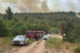 Bilecik’te 2 köyün tahliye edildiği yangın kontrol altına alındı