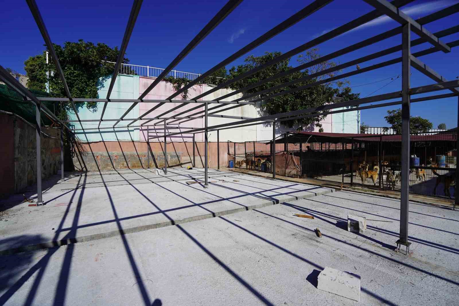 Yedikule Hayvan Barınağı’nın 2. etabı tamamlandı