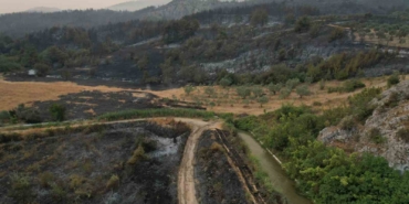 Orman yangını kabusunun ikinci günü: Ekipler çalışmalarına hız verdi