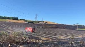 Büyükçekmece’de tarlada yangın: Alevler evlere sıçramadan söndürüldü