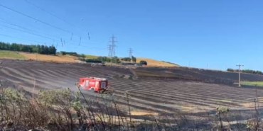 Büyükçekmece’de tarlada yangın: Alevler evlere sıçramadan söndürüldü