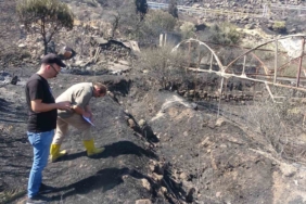 Ayvacık’ta yangından etkilenen alanlarda hasar tespit çalışmaları başladı