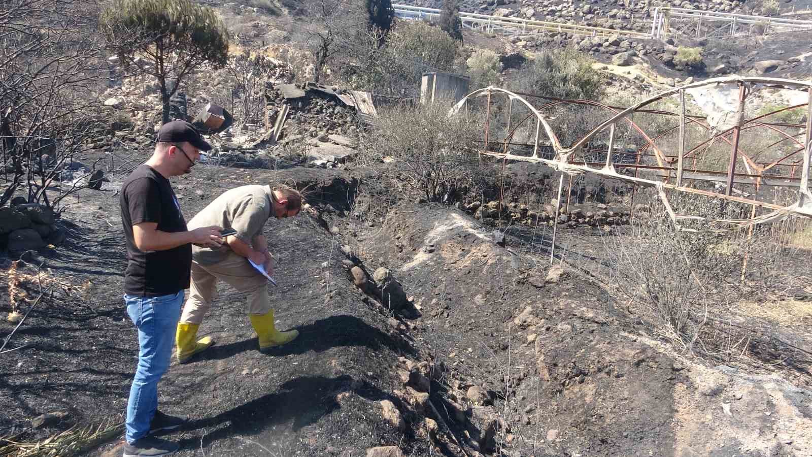 Ayvacık’ta yangından etkilenen alanlarda hasar tespit çalışmaları başladı