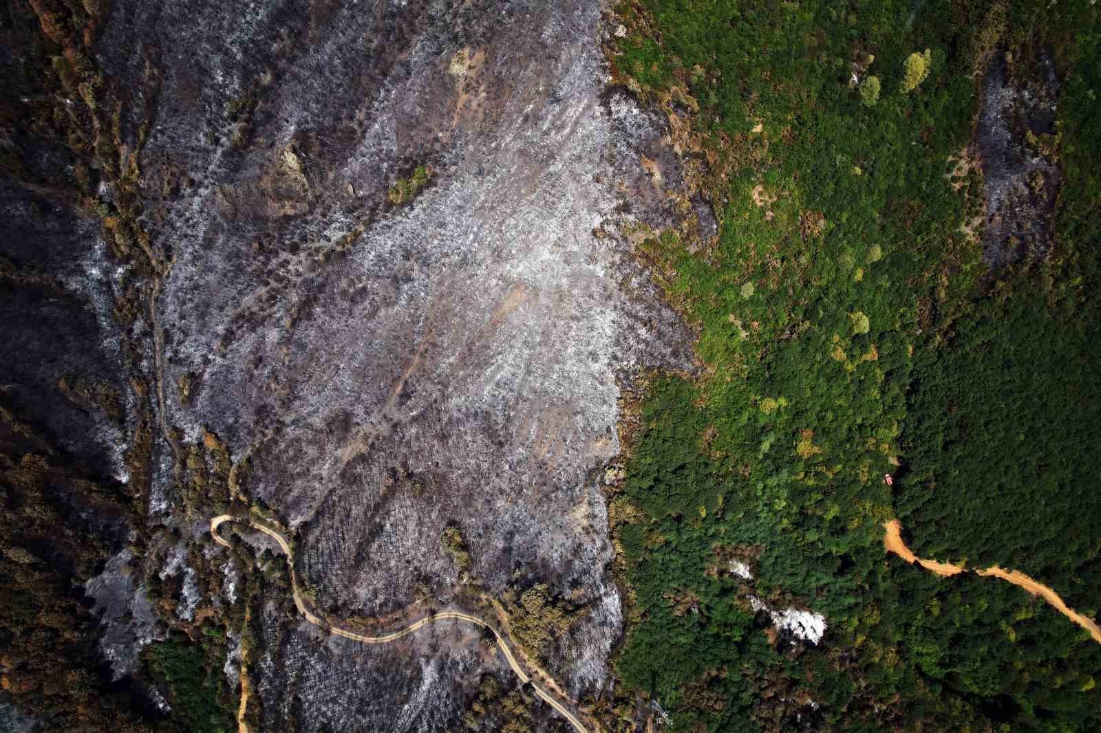 Yangın sonrası acı tablo: ’Yeşil’ ve ’siyah’ yan yana