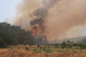 Bilecik’te alevler yeniden yükselmeye başladı