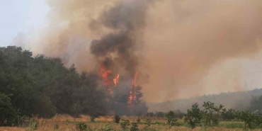 Bilecik’te alevler yeniden yükselmeye başladı