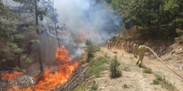 Orman yangınına sebep olan 9 kişi gözaltına alındı, bir kişi tutuklandı