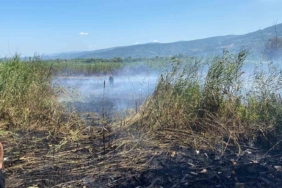 Sapanca Gölü’ndeki sazlık alanda yangın çıktı
