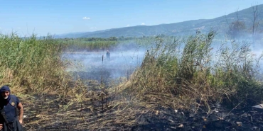 Sapanca Gölü’ndeki sazlık alanda yangın çıktı