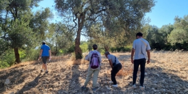 Tarihi zeytin yolları gün yüzüne çıkarılıyor