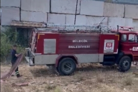 Bilecik’te otluk alanda başlayan yangın ormana sıçramadan söndürüldü