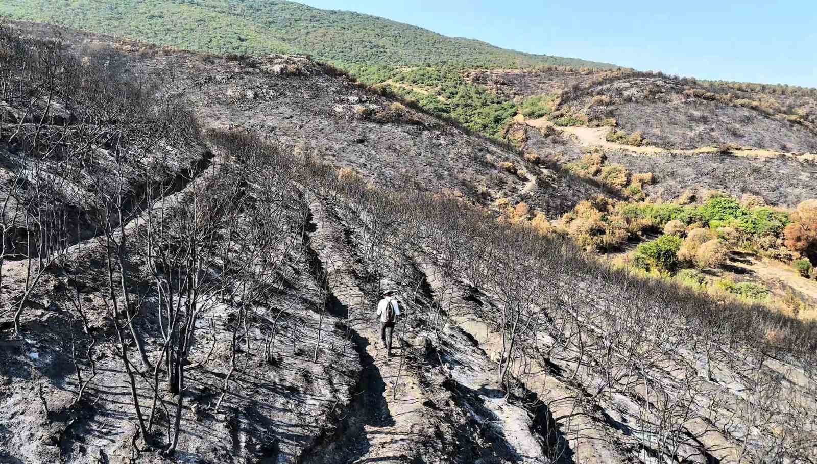 Bilecik’te orman yangını sonrası yürek burkan manzara havadan görüntülendi