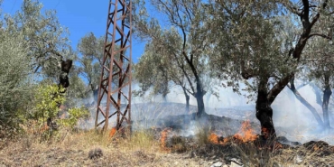 Edremit Güre’deki zeytinlik yangını kontrol altına alındı