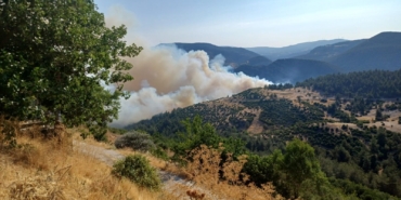 Bursa-Balıkesir sınırında orman yangını