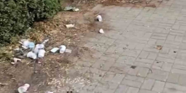 Yediler, içtiler, eğlendiler pisliği doğaya bırakıp gittiler