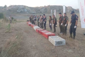 Kırklareli’nde doğaya keklik salındı