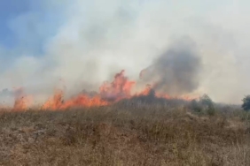 Sakarya Kaynarca’da makilik alanda yangın çıktı