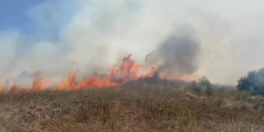 Sakarya Kaynarca’da makilik alanda yangın çıktı