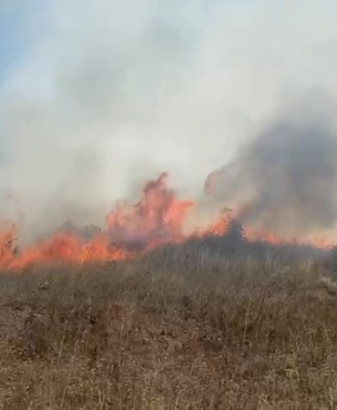 Sakarya Kaynarca’da makilik alanda yangın çıktı