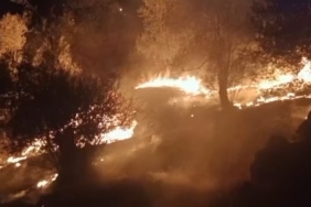 Balıkesir’de zeytinlik alanda çıkan yangına ekipler müdahale ediyor