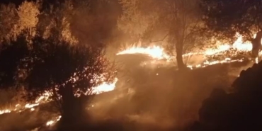 Balıkesir’de zeytinlik alanda çıkan yangına ekipler müdahale ediyor