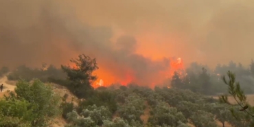 Cepheye gider gibi alevlerin üzerine böyle gittiler