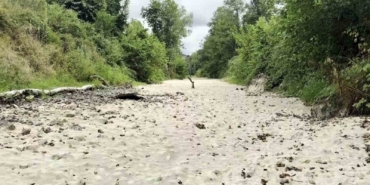 Sakarya’da korkutan manzara: Doğaseverlerin gözdesi kurudu