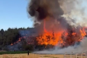 Medetli köyünde orman yangını başladı