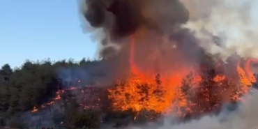 Medetli köyünde orman yangını başladı