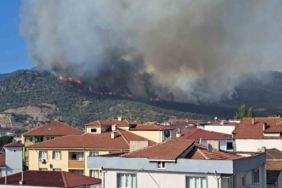 Alevler YHT besleme trafosuna yaklaşınca tedbir alındı