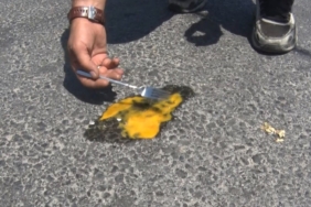 Büyükçekmece’de asfaltta yumurta pişti