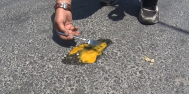 Büyükçekmece’de asfaltta yumurta pişti