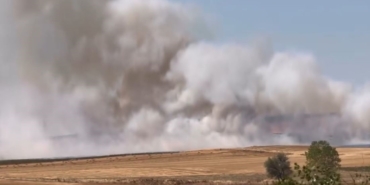 Tekirdağ’da çıkan anız yangını kontrol altına alındı