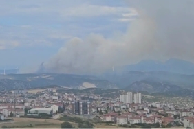 Bilecik’teki orman yangınına müdahale sürüyor: Dumanlar kent merkezine kadar geldi