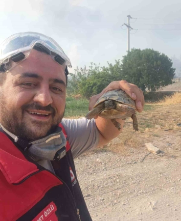 Yangından etkilenen hayvanlara elleriyle su verdiler