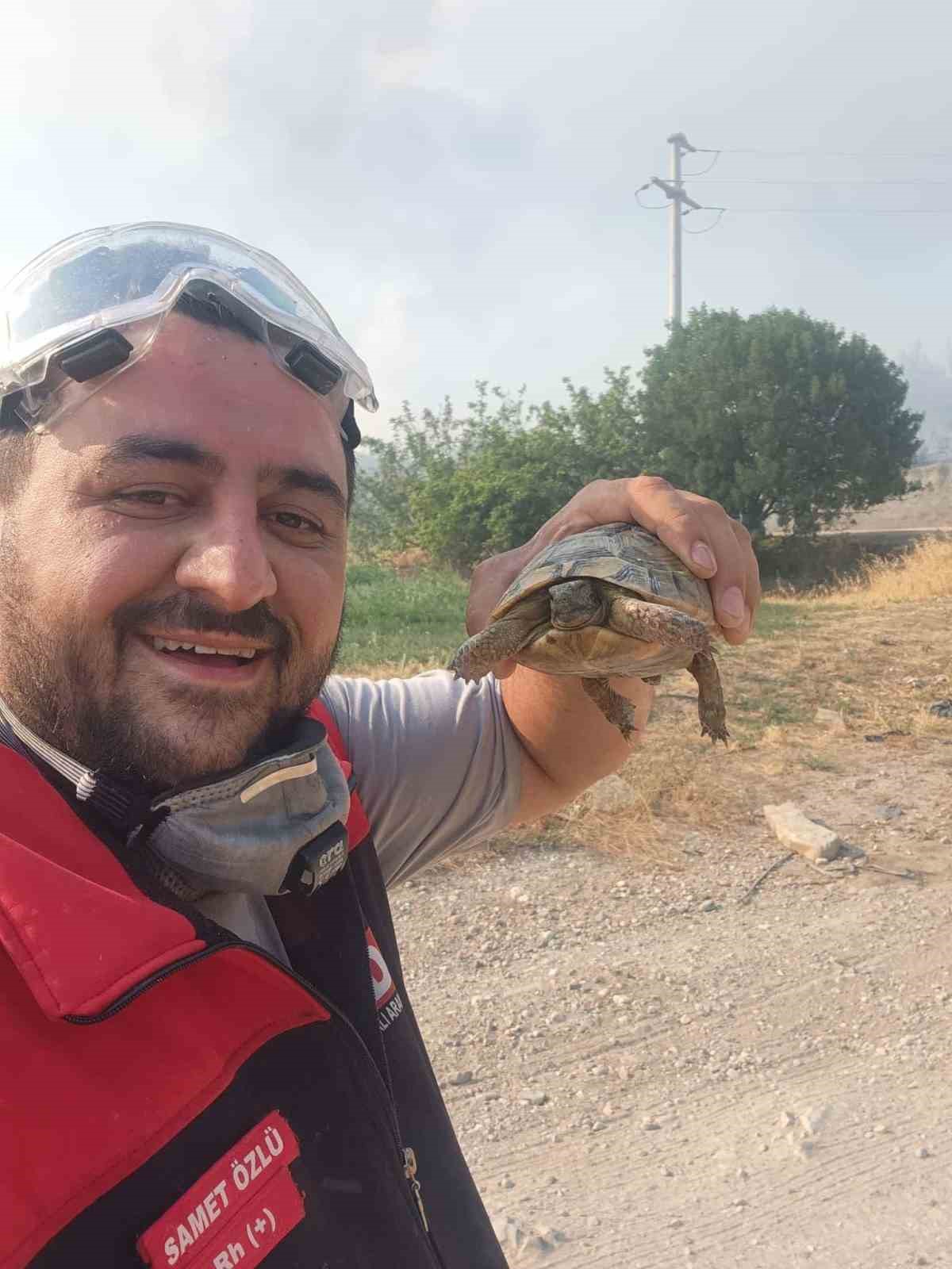 Yangından etkilenen hayvanlara elleriyle su verdiler