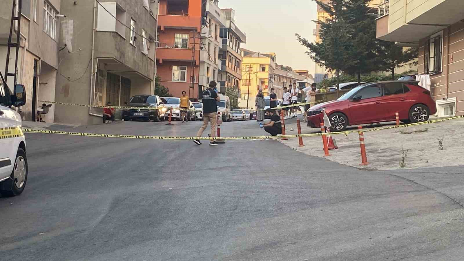 Maltepe’de kamyonetin çarptığı kadın hayatını kaybetti, kaçan şoför yakalandı