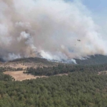 Harmancık Meyrandağı’ndaki yangın dronla böyle görüntülendi