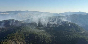 Sındırgı yangını kontrol altında