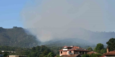 Sakarya Hendek’teki orman yangını kontrol altına alındı