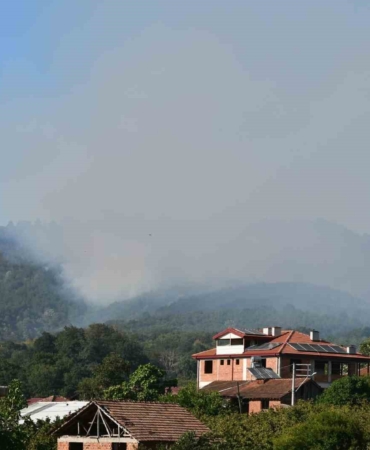 Sakarya Hendek’teki orman yangını kontrol altına alındı