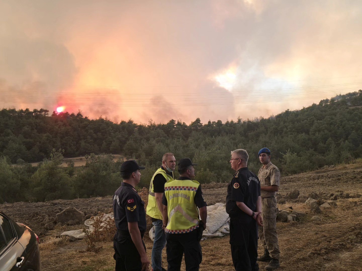 Başkan Dilsiz’den Osmaneli’ndeki yangınına ilişkin açıklama