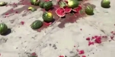 Bir römork dolusu karpuzu pazarın ortasında yere fırlatarak parçaladı